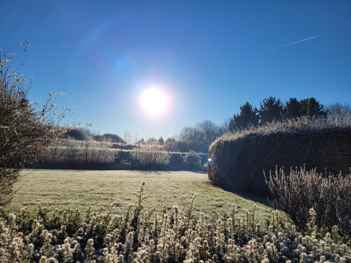 Hotel Parkhoeve Glamping *