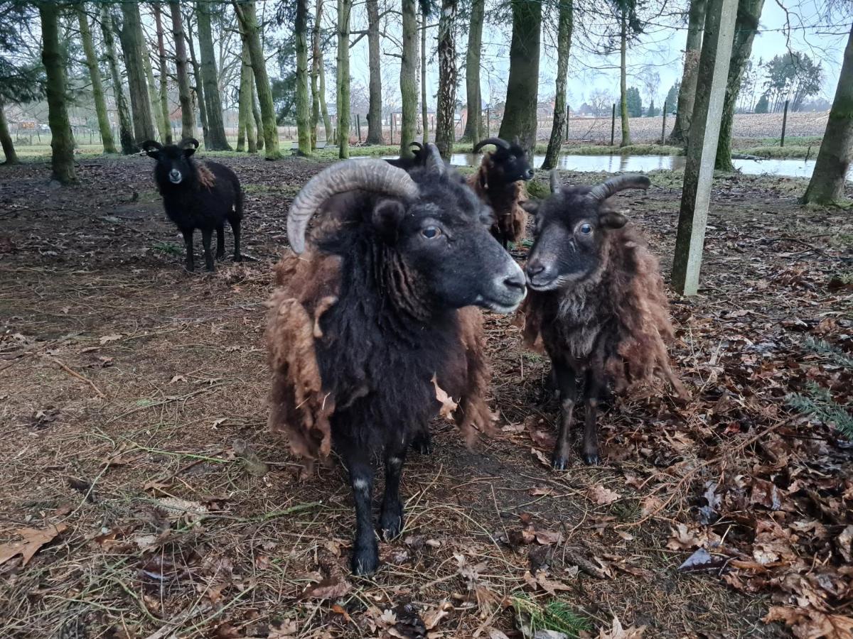 Parkhoeve Glamping *